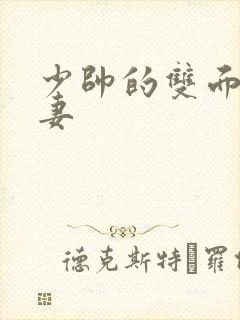 少帅的双面小娇妻