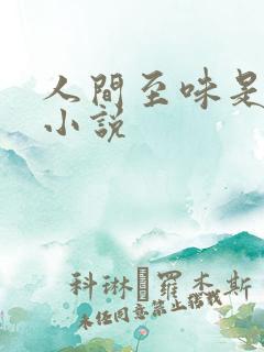 人间至味是清欢小说