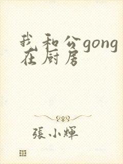 我和公gong在厨房