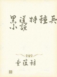 黑道特种兵有声小说