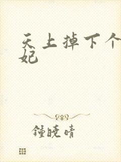 天上掉下个奇王妃