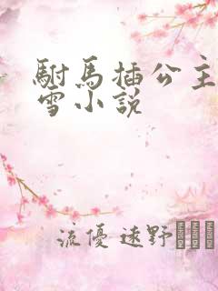 驸马插公主恋战雪小说
