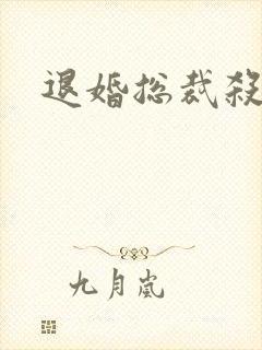 退婚总裁杀手妻