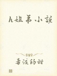 h姐弟小说