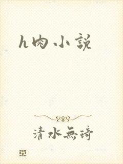 h肉小说