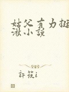 姑父有力挺送徐湫小说