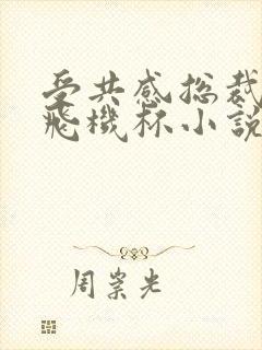 受共感总裁攻的飞机杯小说叫什么