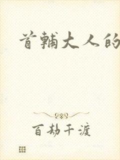 首辅大人的套路