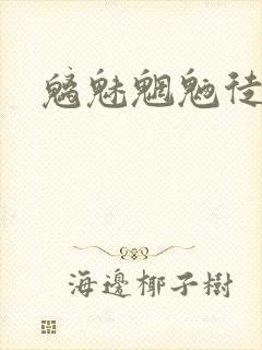 魑魅魍魉徒为尔