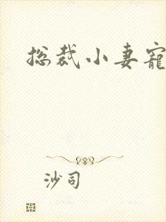 总裁小妻宠上天