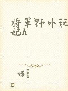 将军野外玩弄贵妃h