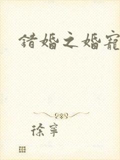 错婚之婚宠一世