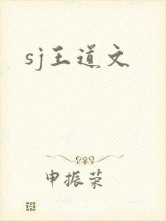 sj王道文