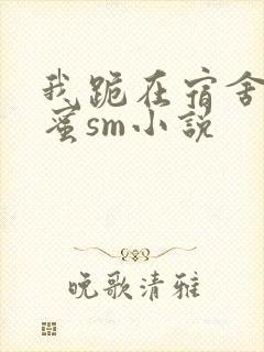 我跪在宿舍被闺蜜sm小说