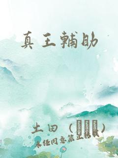 真王辅助