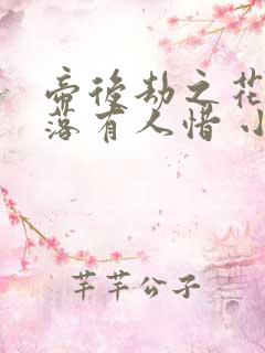 帝后劫之花开花落有人惜 小说