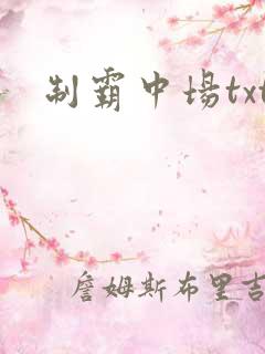 制霸中场txt