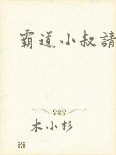 霸道小叔请轻撩