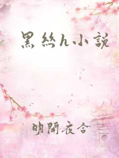 黑丝h小说