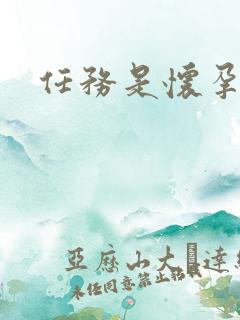 任务是怀孕系统