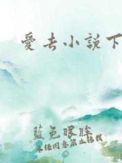 爱去小说下载网