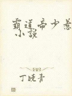 霸道帝少惹不得 小说