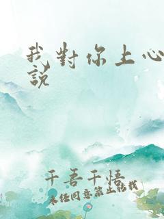 我对你上心了小说