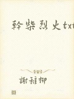 干柴烈火txt