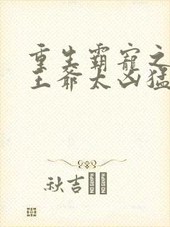 重生霸宠之摄政王爷太凶猛