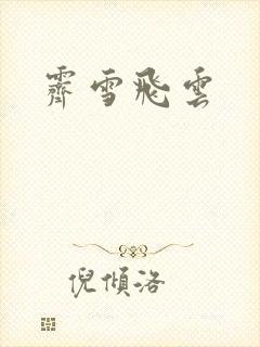 霁雪飞云