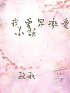 我曾卑微爱过你 小说