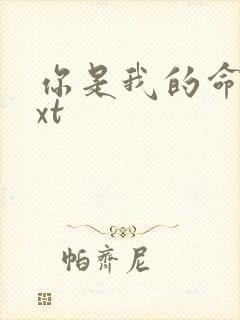 你是我的命运txt