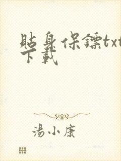 贴身保镖txt下载