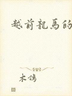 越前龙马的小说