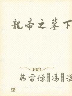 龙帝之墓下载