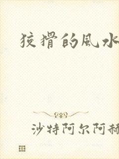 狡猾的风水先生