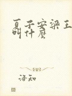 夏子安梁王书名叫什么