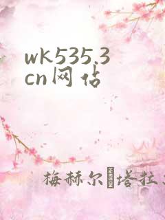 wk535.3cn网站