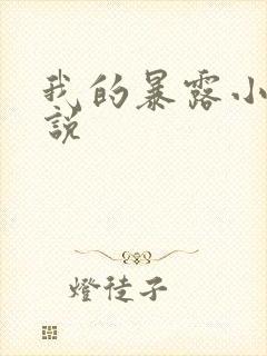 我的暴露小说小说
