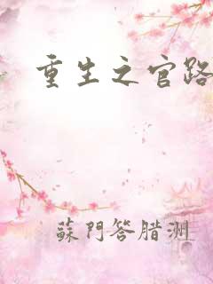 重生之官路情长