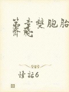 第章双胞胎姐妹齐飞