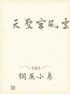 天圣宫风云录