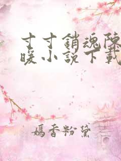 寸寸销魂陈聪王暖小说下载