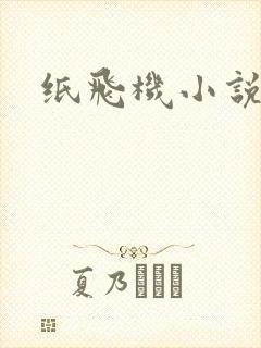 纸飞机小说