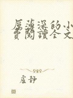 厉薄深的小说免费阅读全文