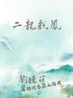 二龙戏凤