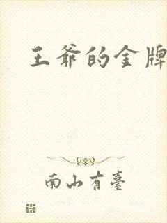 王爷的金牌暗卫