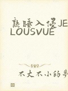 熟睡入侵JEALOUSVUE