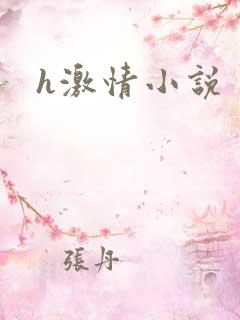 h激情小说