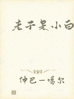 老子是小白脸
